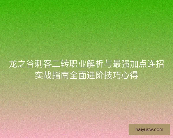 龙之谷刺客二转职业解析与最强加点连招实战指南全面进阶技巧心得